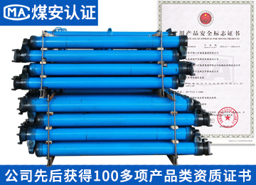 DW20-300/110X单体液压支柱